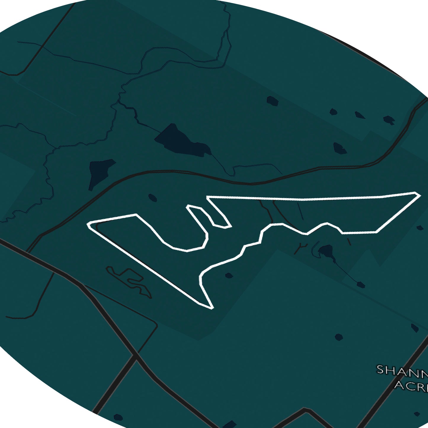Circuit of the Americas, USA